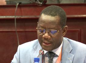 Armed conflicts are detrimental to Africa's development: Red Cros